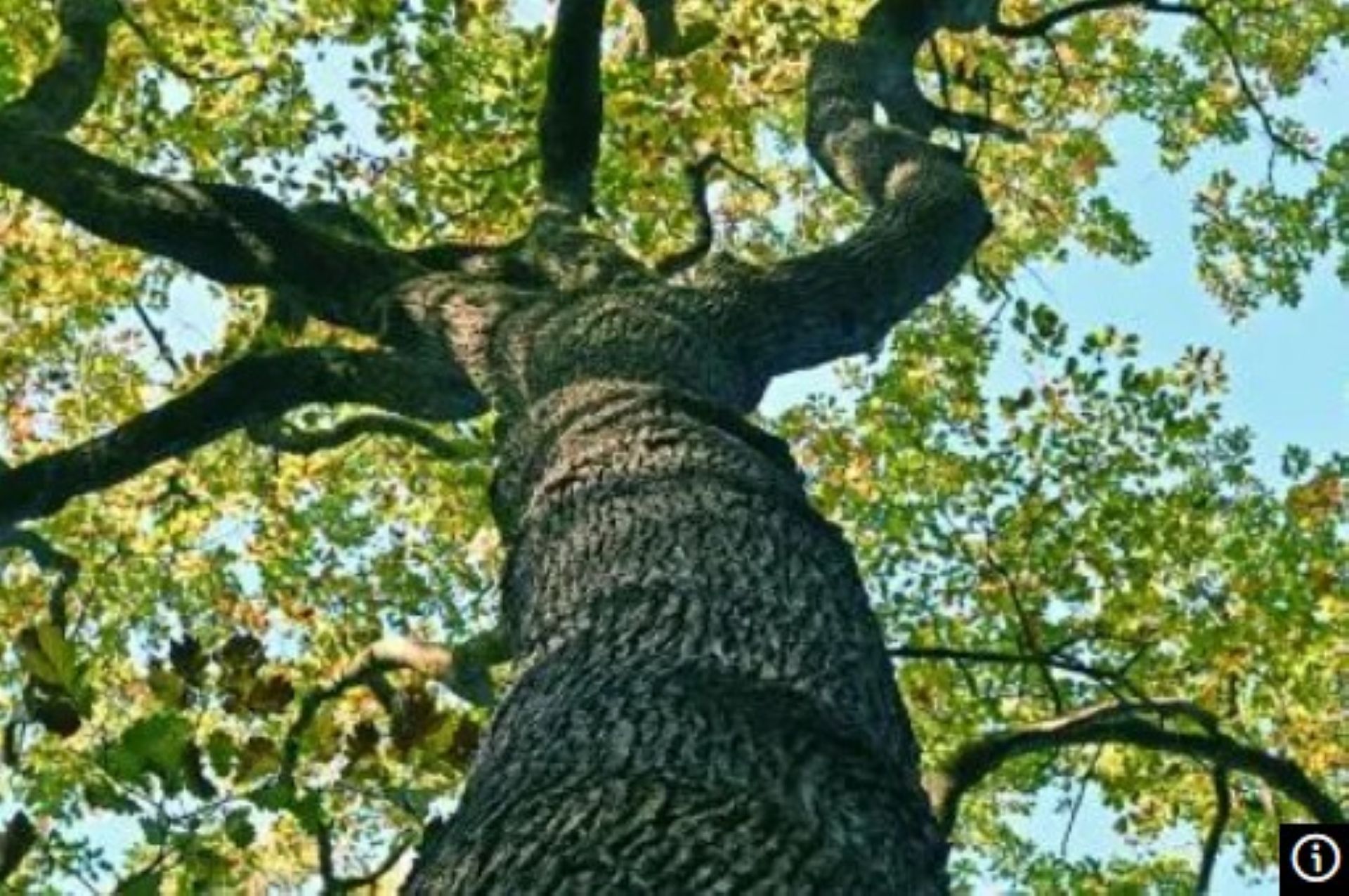 Rendez-vous aux jardins à Ecouen