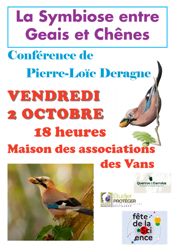 Conférence : La symbiose entre les Geais et les Chênes