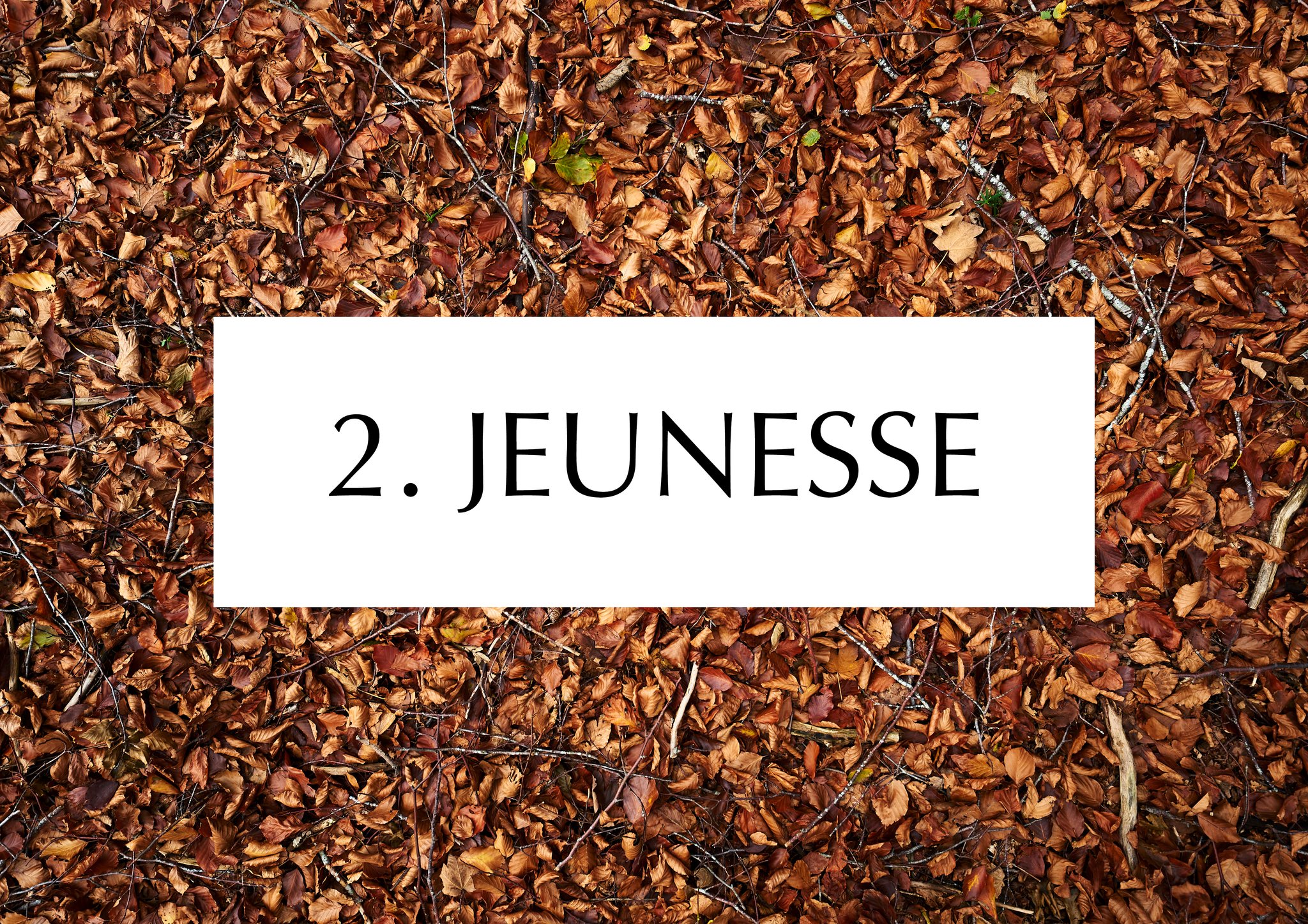 Projection du film " Les Padgels 2 - Jeunesse "