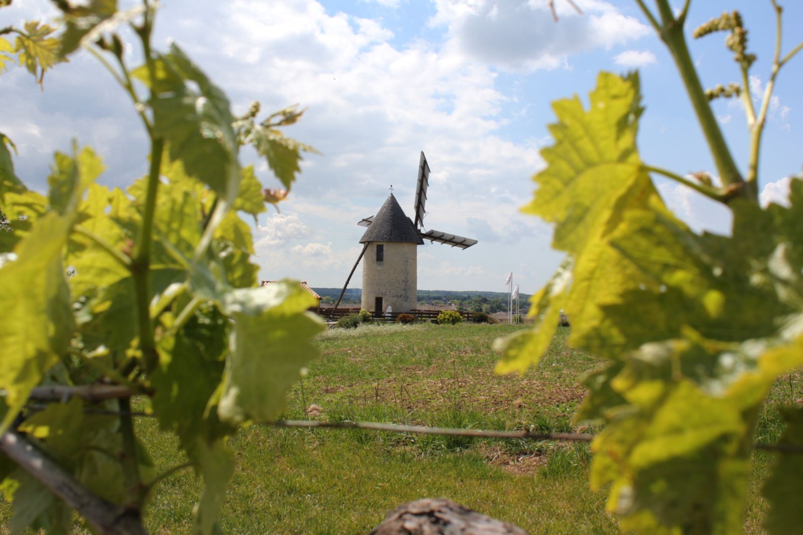 Visite du moulin à vent du Cluzelet