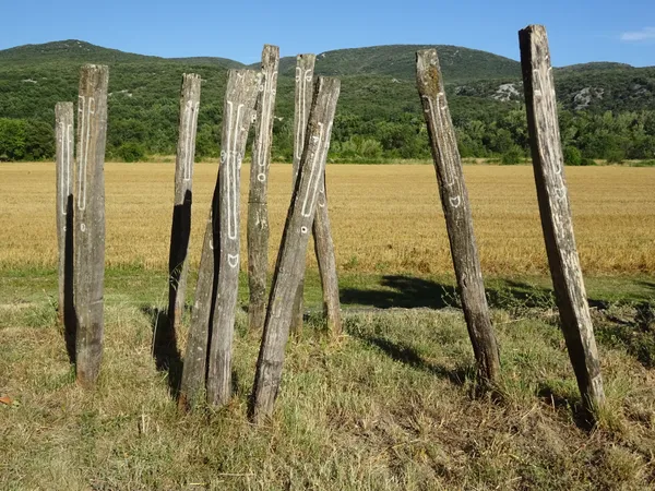 Média additionnel 13