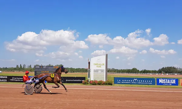 Courses à l'hippodrome