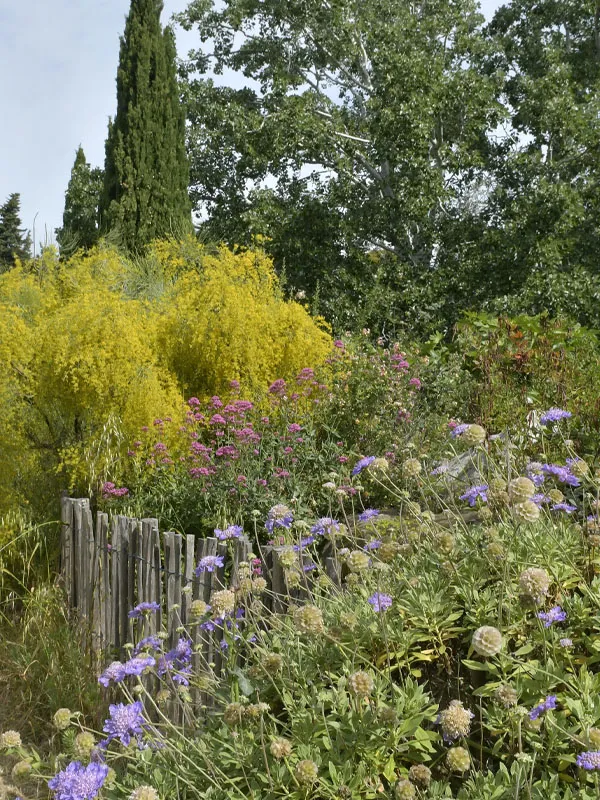 Sortie nature du Muséum - "Borély, jardin botanique et bords de l'Huveaune" (Marseille)