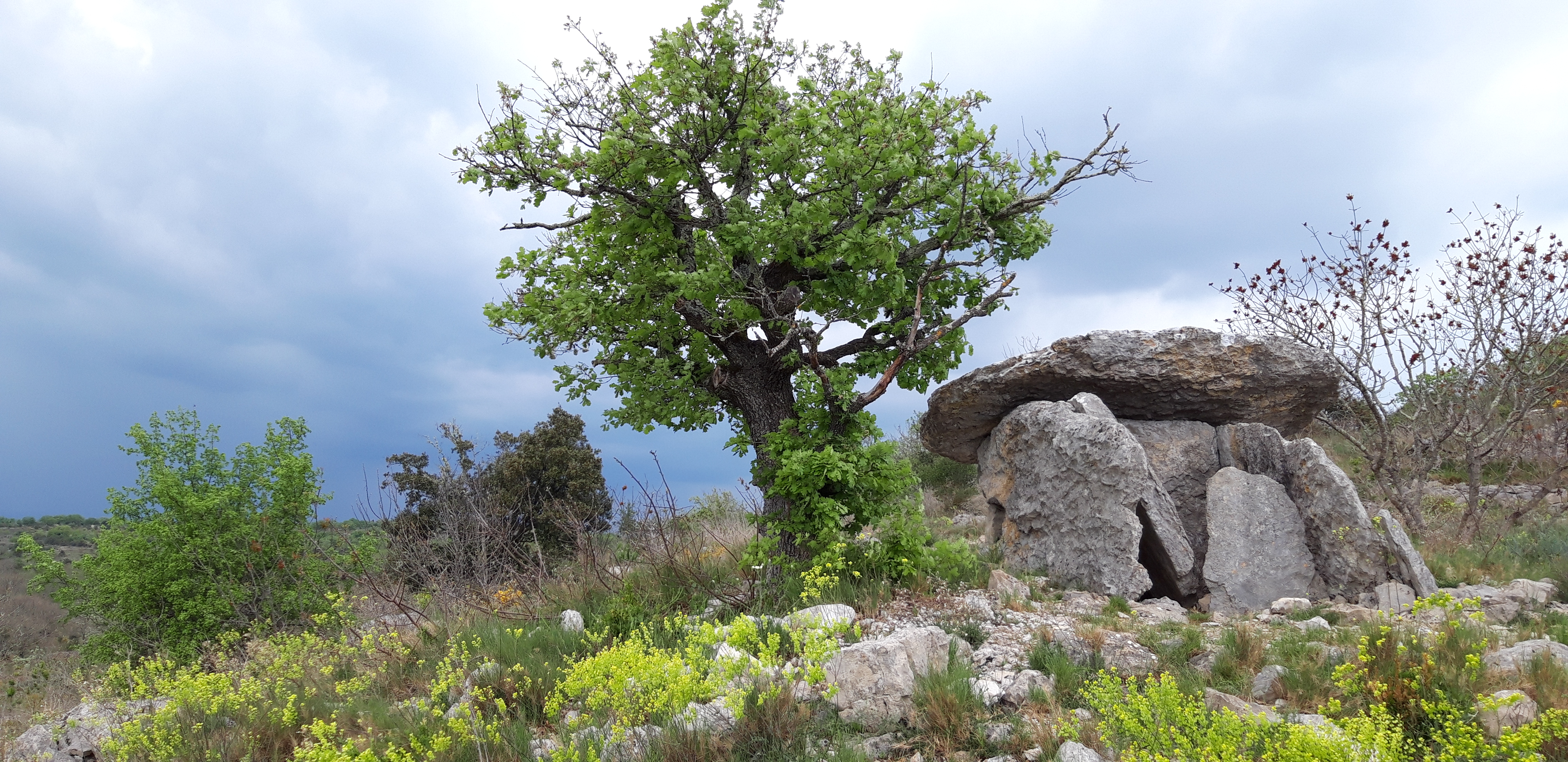 Balade guidée et contée : Parés pour les dolmens ? Parures et objets néolithiques