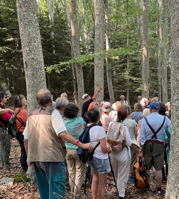 Lectures sous l'arbre
