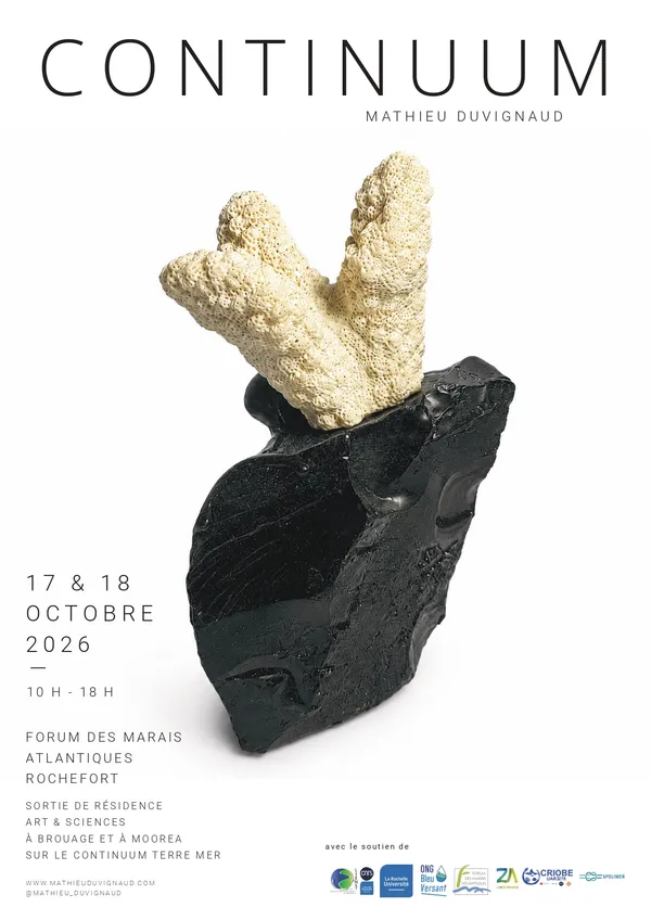 Sortie de résidence : Projet Continuum