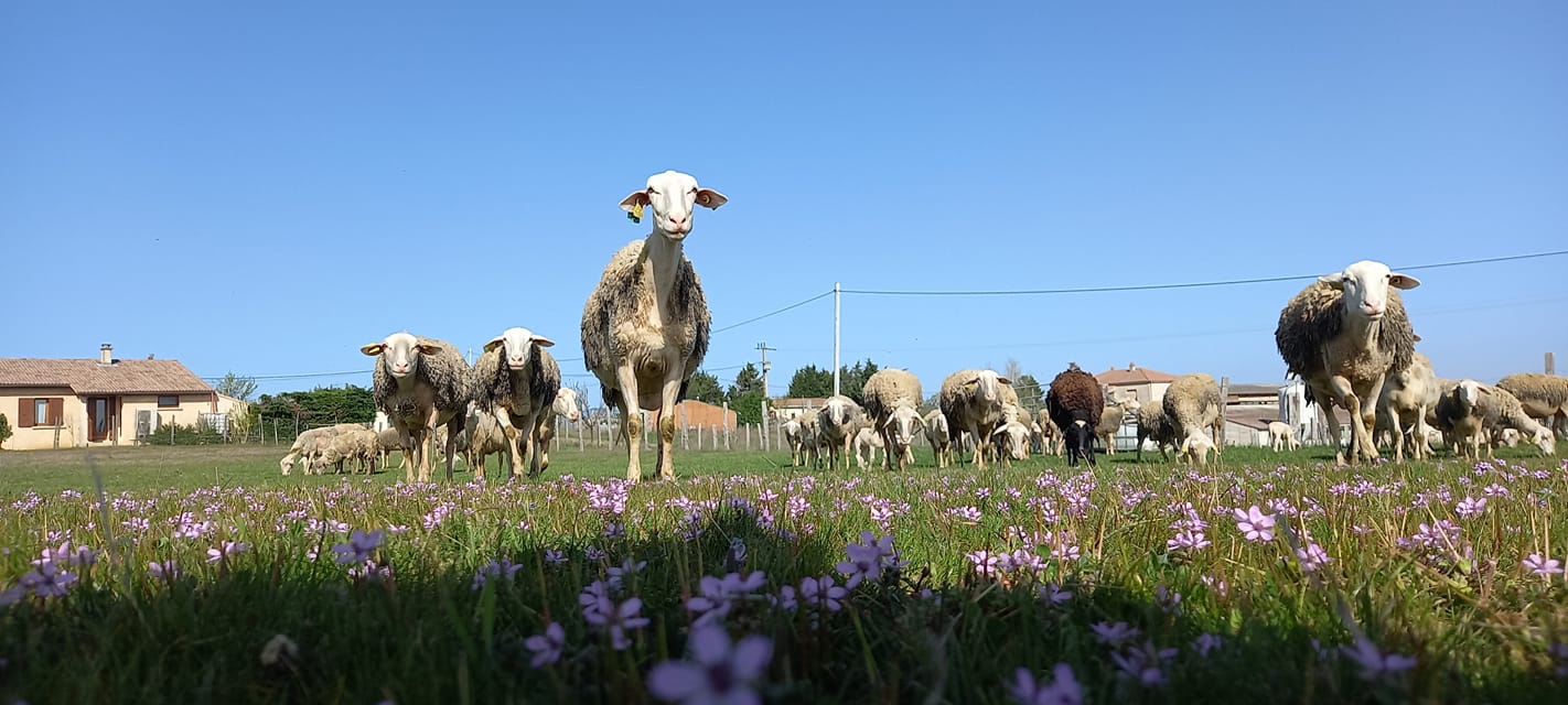 Ferme Bobon - De ferme en ferme