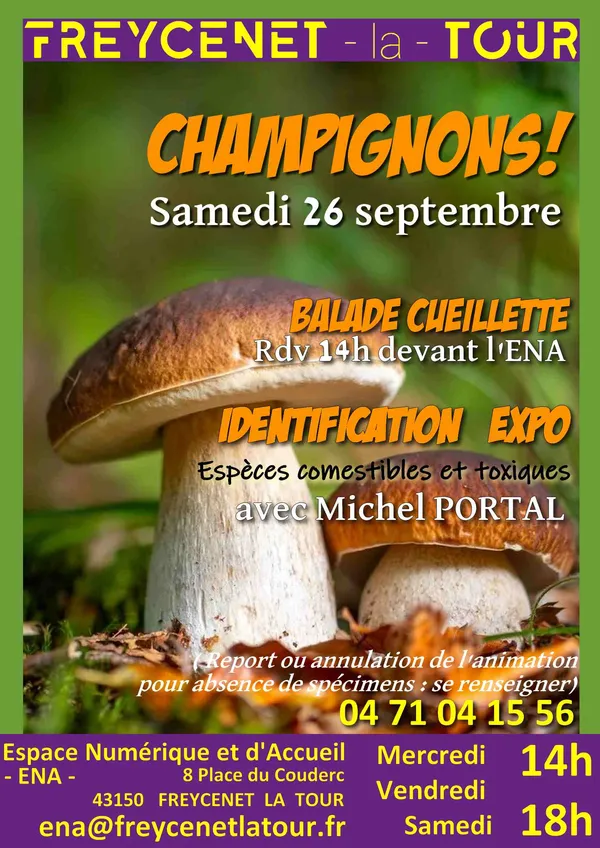 Balade et cueillette de champignons avec Michel Portal