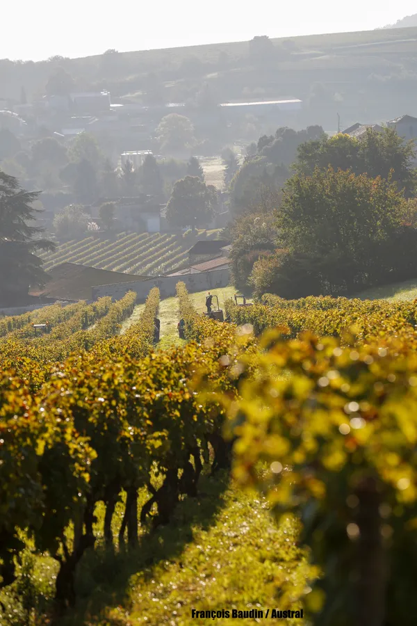 COGNAC PAUL GIRAUD AU FIL DE L'EAU EN GRANDE CHAMPAGNE (Expérience Inédite labelisée Explore 2025)