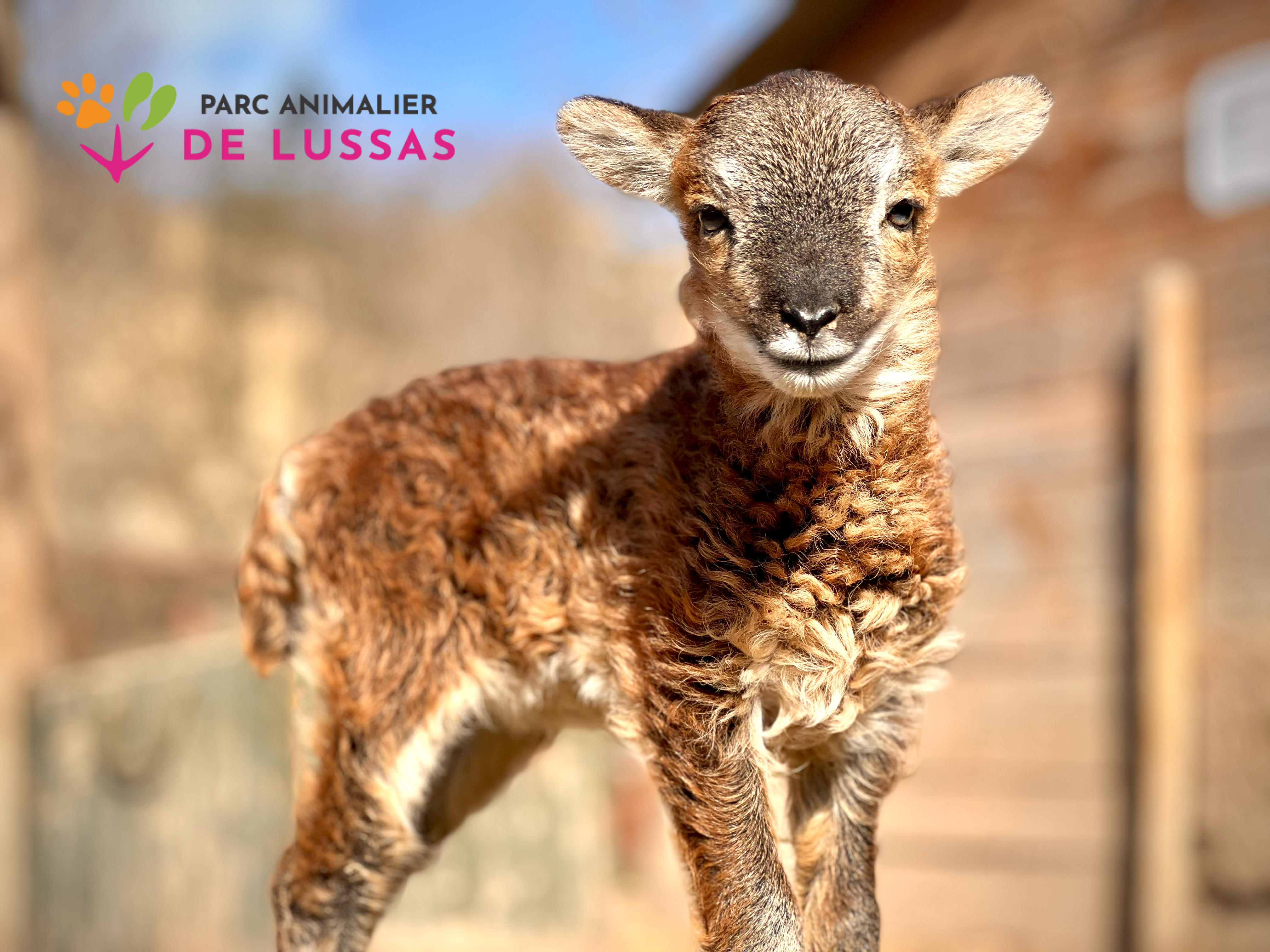 Célébrez Pâques au Parc animalier