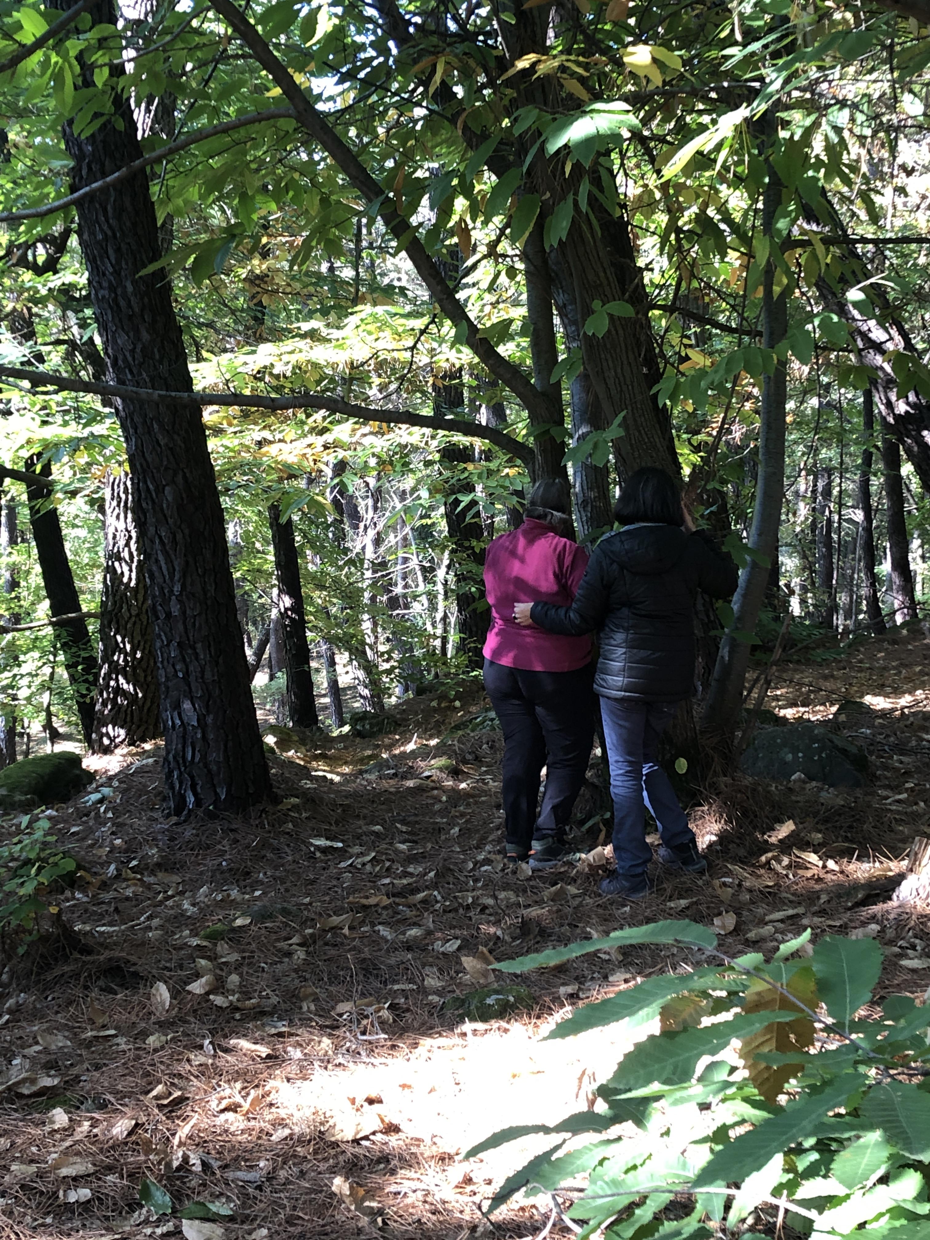 Immersion en pleine présence de la forêt qui s'éveille