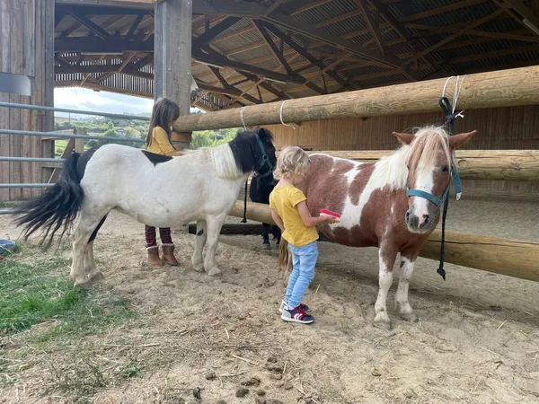 Les Rendez-vous Sport & Nature : stage petit palefrenier et balade à poney