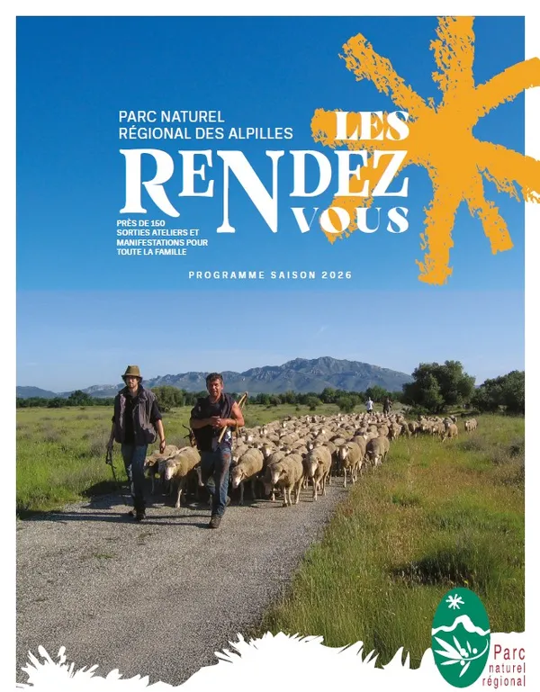 Balade nature : Herbier des Alpilles