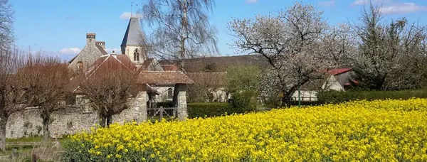 Balade géologique à Chérence : au cœur du vallon