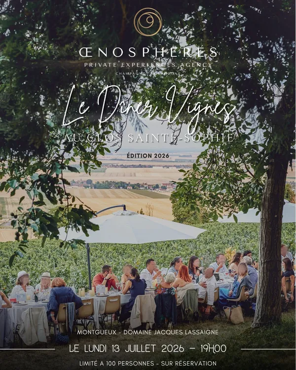 Le Dîner Vignes par OenoSpheres