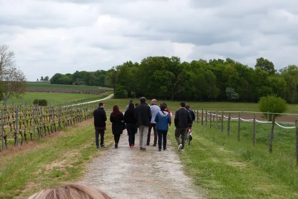 Balade du Logis - Vignoble Chauraud