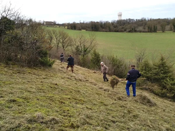 Chantier participatif au Terrier Nigot