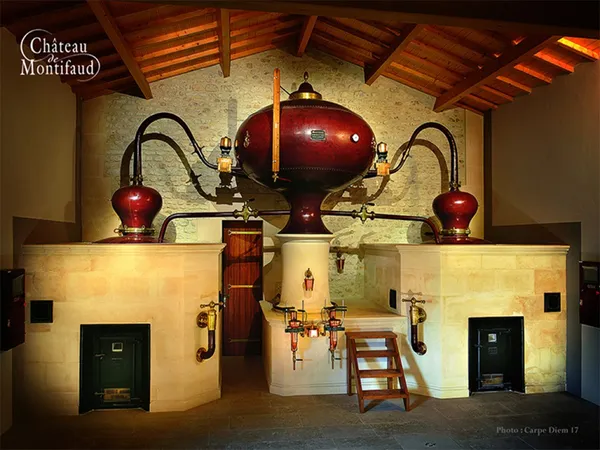 L'éveil des sens - Château Montifaud