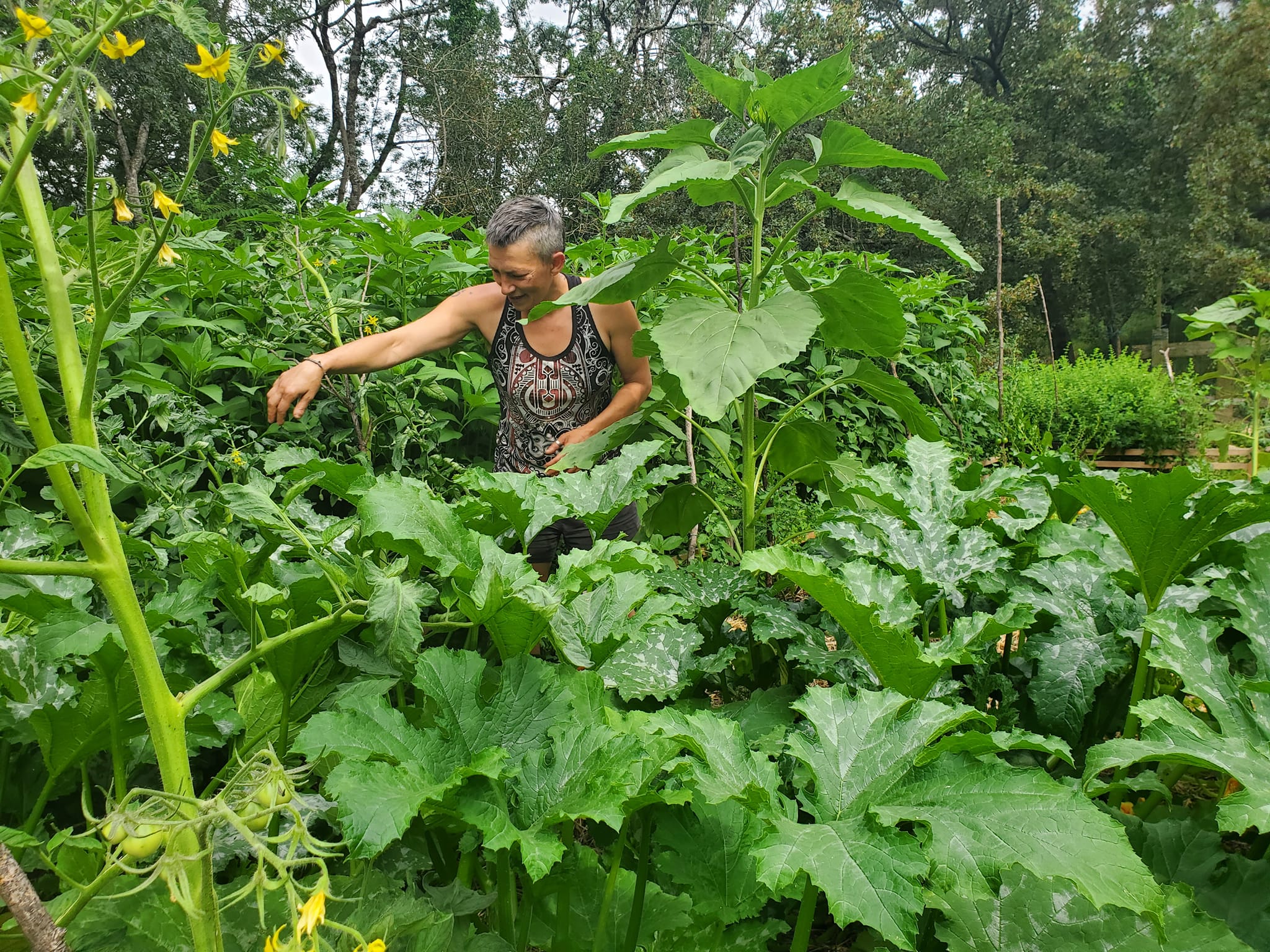De Ferme en Ferme ® : visite du jardin Croque'ta graine