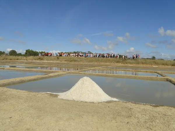 Journées du Patrimoine au Port des Salines