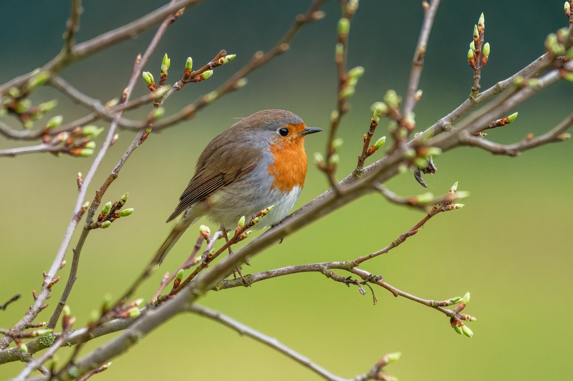 Sortie nature sur les traces de Ludwig Van Beethoven