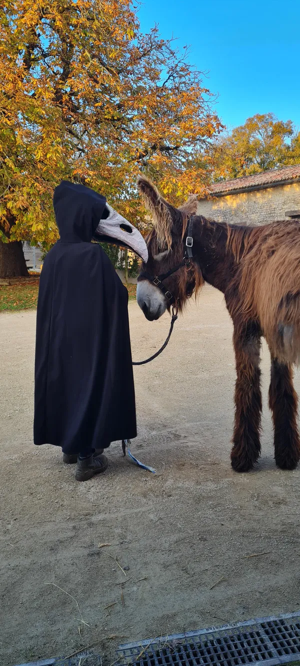 Âne'lloween