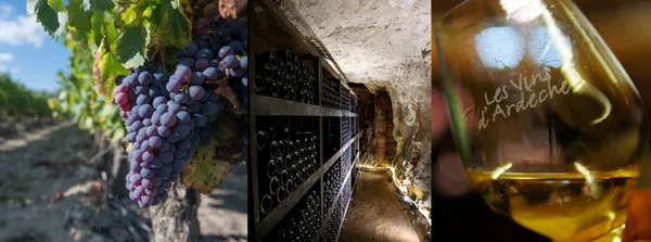 Atelier assemblage Côtes du Vivarais à l'Aven d'Orgnac, 50 m sous terre !