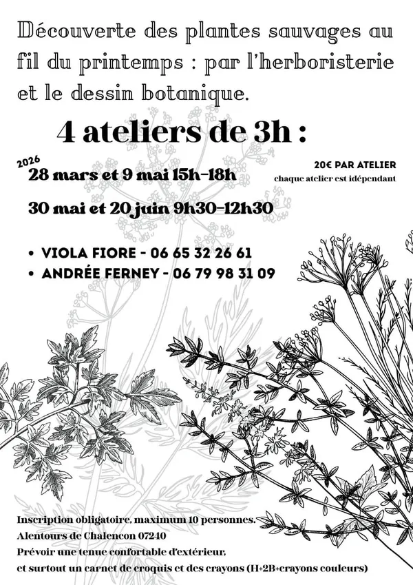 Atelier "Découverte des plantes sauvages par l'herboristerie et le dessin botanique"