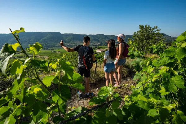 L'été au Caveau de Valvignères : Visite de Cave