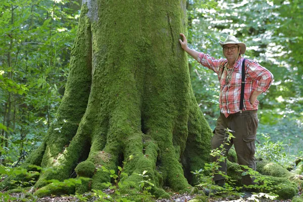 L'arbre qui cachait la forêt