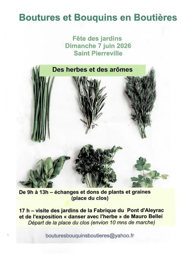 Des herbes et des arômes - après-midi