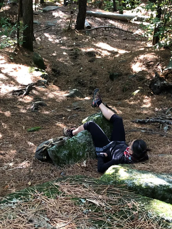 Bain de forêt
