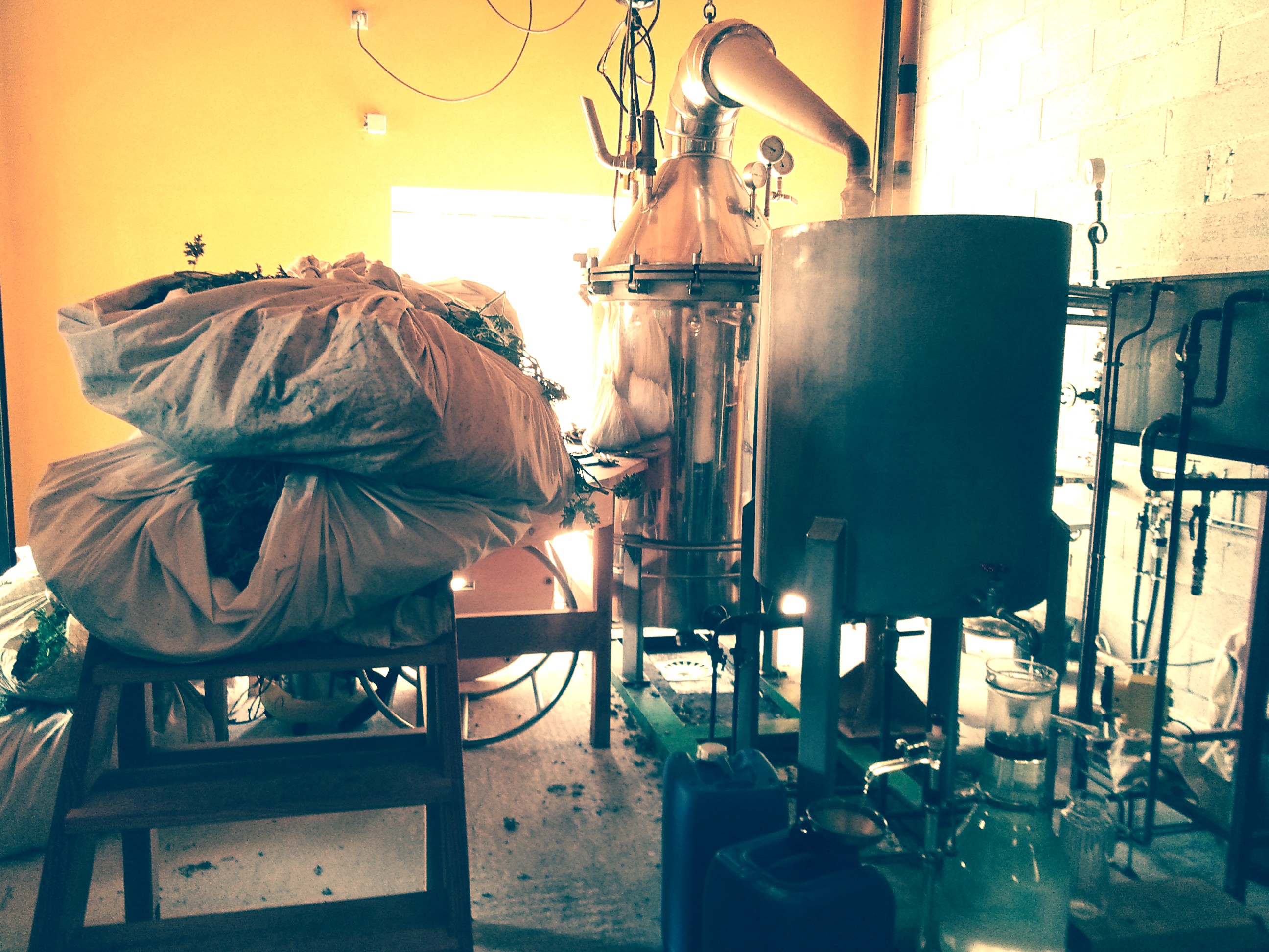 Visite d'une distillerie de plantes aromatiques et médicinales - Les Échappées Estivales®