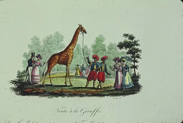 Conférence - Zarafa et les premières girafes européennes