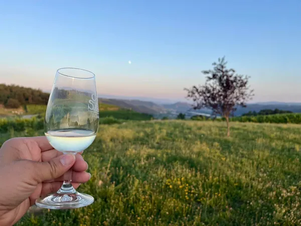 Sunset dans les vignes - Domaine L. Bertrand