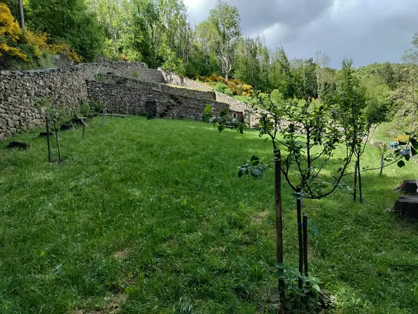 Cinquième anniversaire de la restauration du Jardin Clos du Pré Nouveau