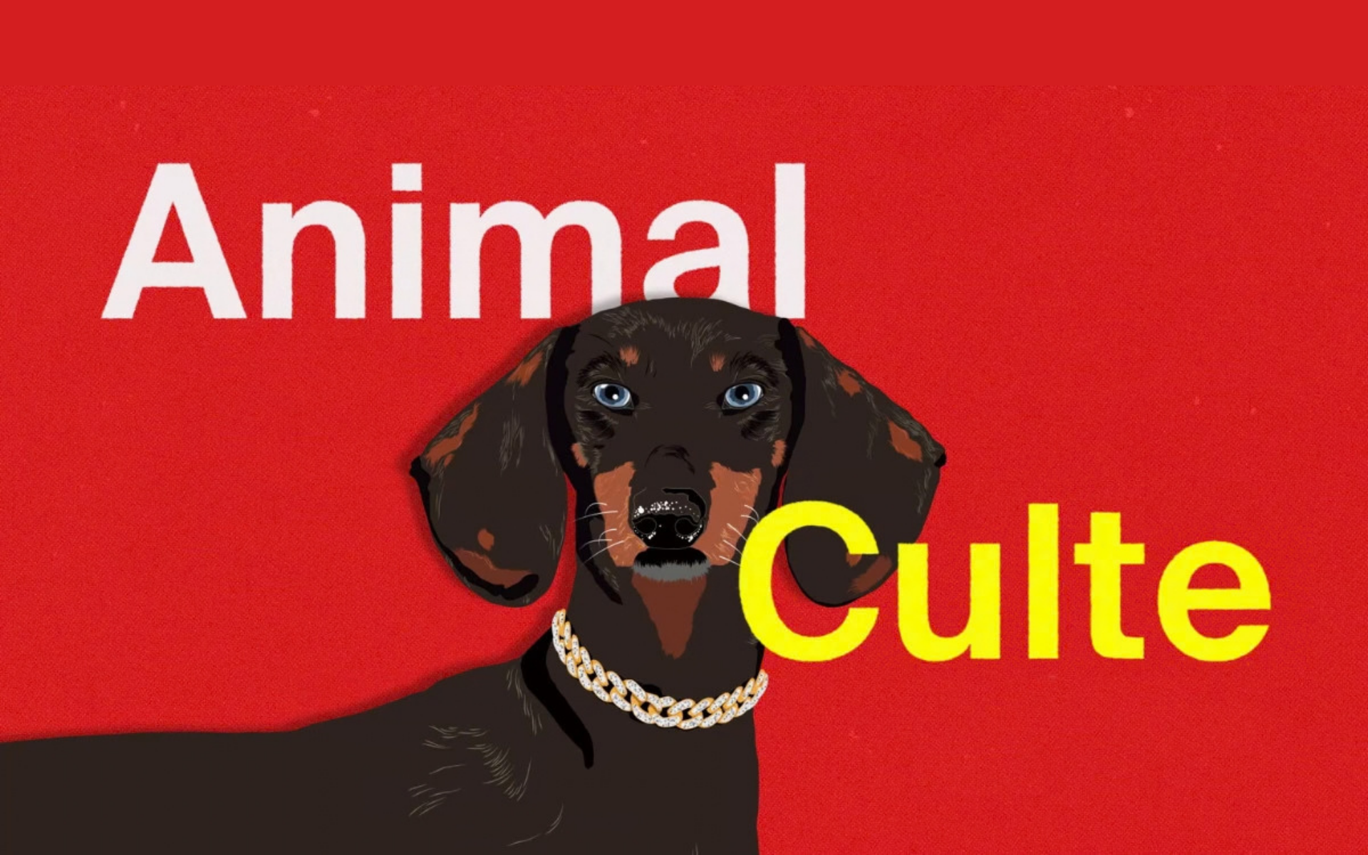 Animal Culte