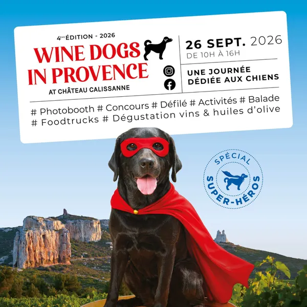 Wine dogs in Provence