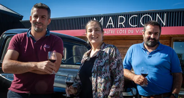 Dégustation vins: grands crus et vieux millésimes