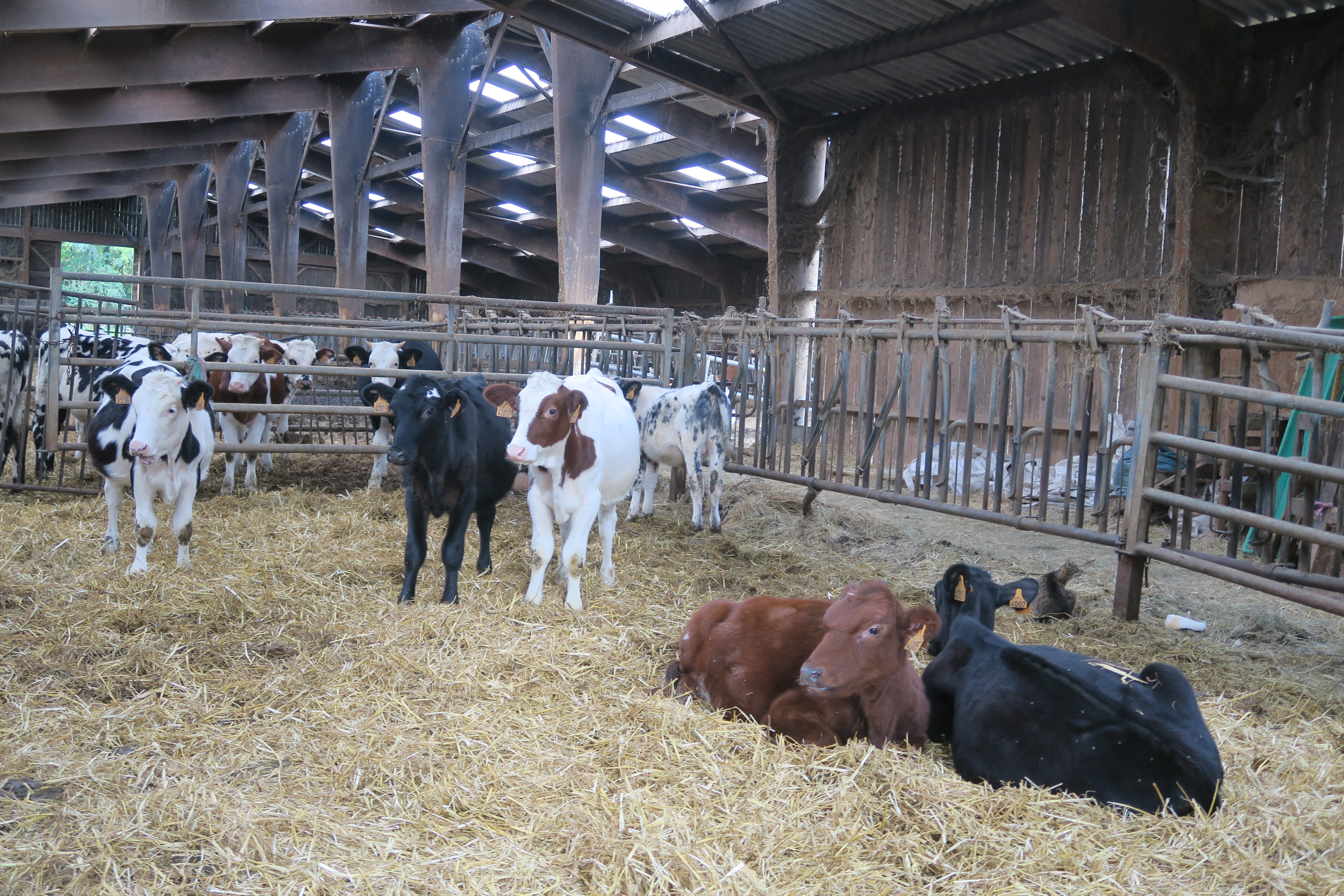 La balade du goût : la Ferme du Gros Poirier