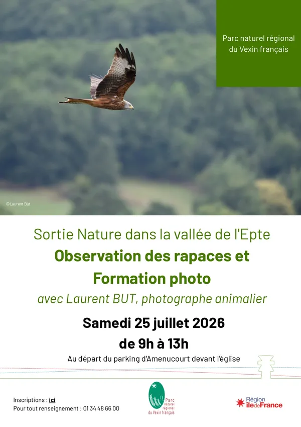 Observation des rapaces et formation photo