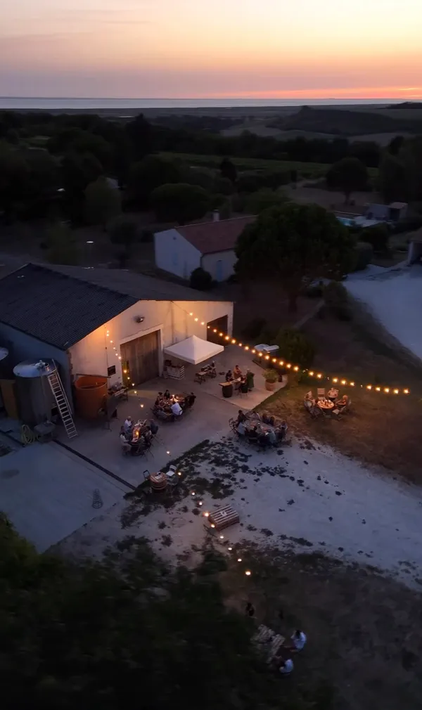 Balade commentée dans les vignes surplombant l'estuaire avec pause dégustation