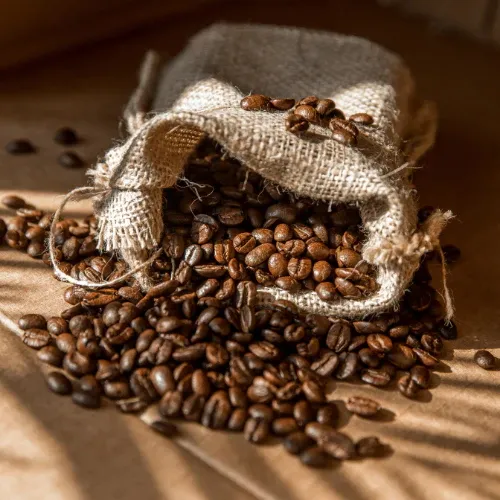 Découverte de la torrefaction artisanale des Cafés Masoala