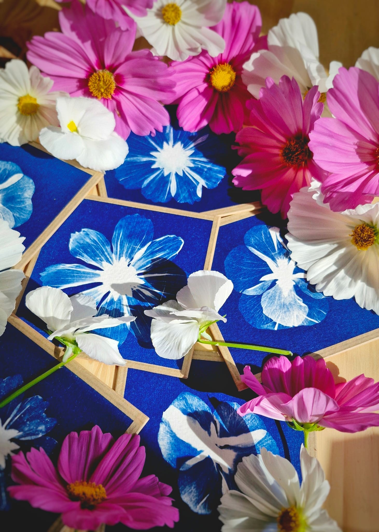 Cours de cyanotype