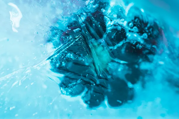 Animation - Quand la cryogénie transporte nos aliments