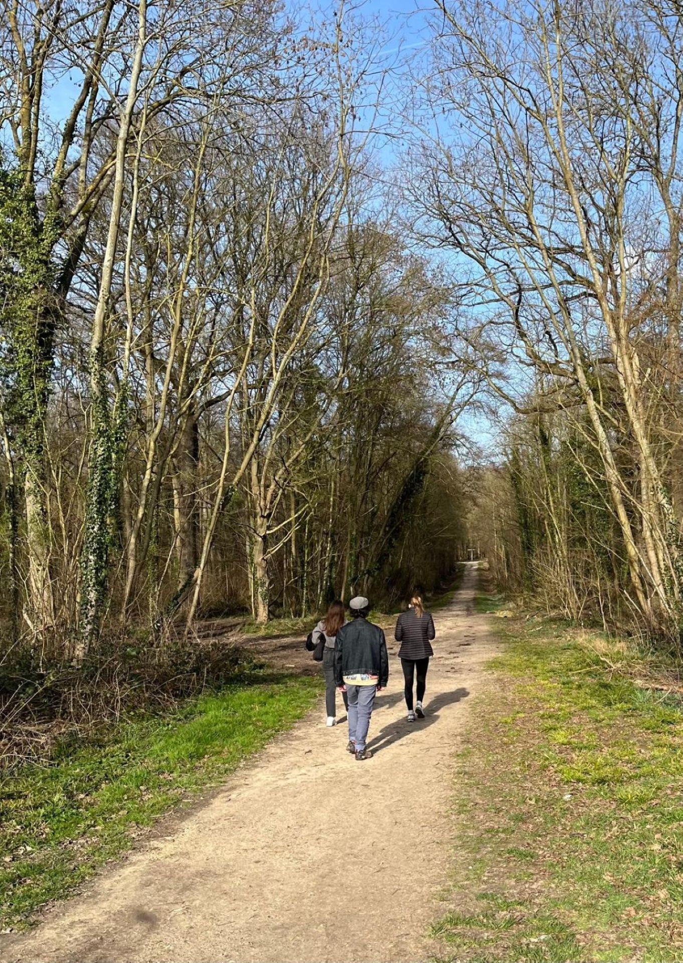 Balade découverte de la forêt d’Écouen et ses secrets