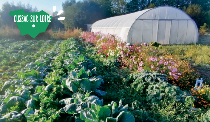 Sortie Nature : Potager et biodiversité