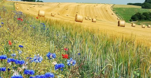 Fête de la Campagne 2026