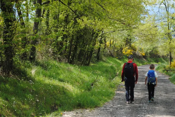 Mois de la rando : la Marche des Marronniers