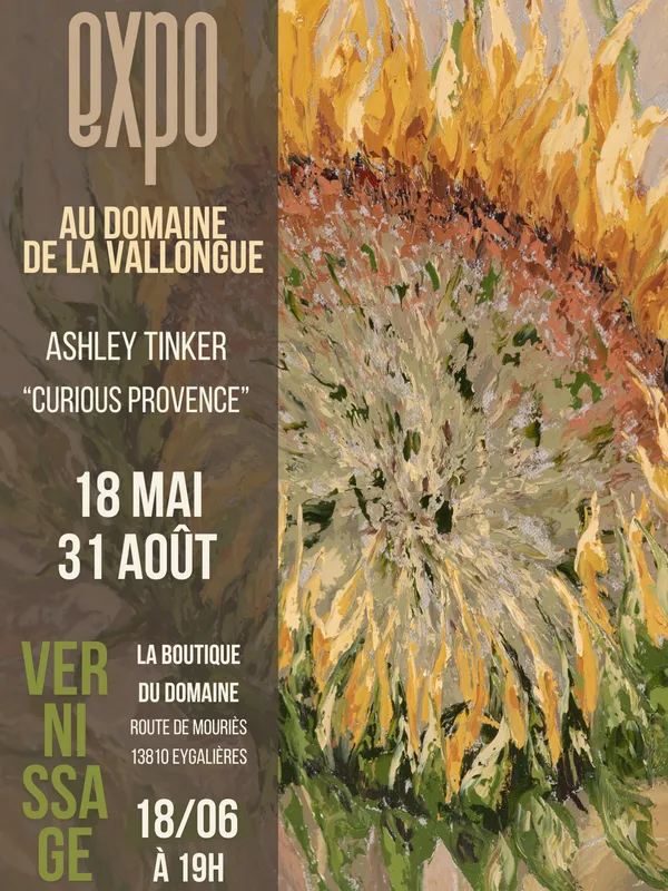 Exposition au Domaine de la Vallongue : Ashley Tinker